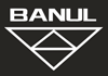 Banul